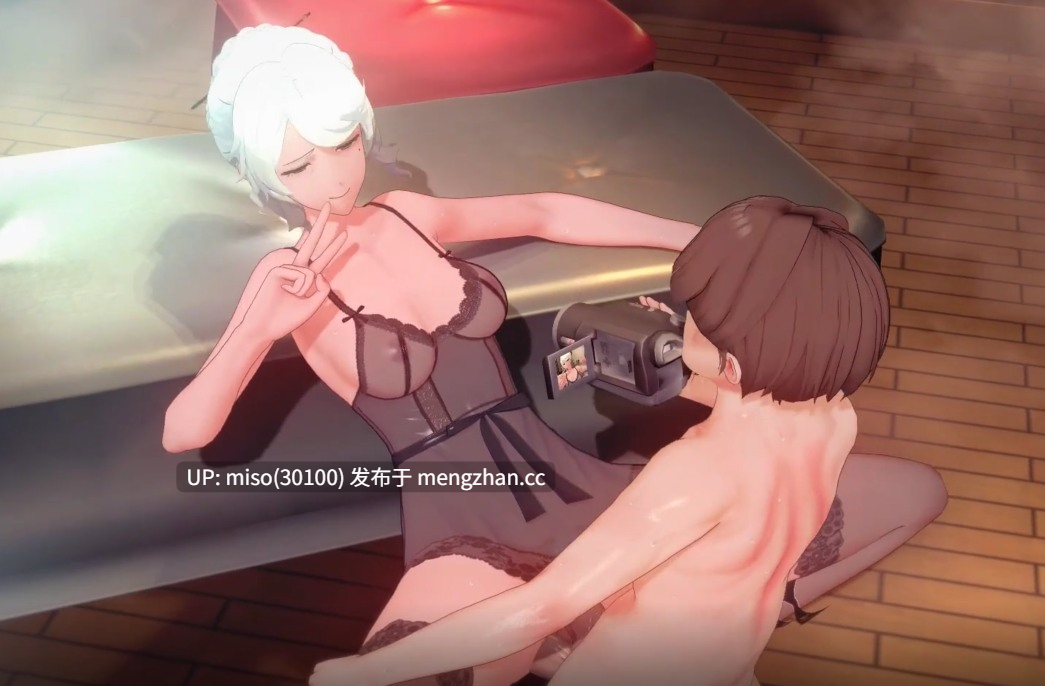 20. 「鸣潮」辛夷sex []