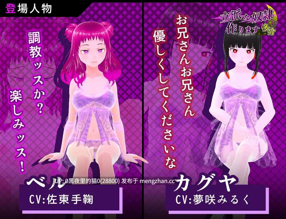【PC/RPG/3D/女仆/奴隶/风俗泡泡裕】立派な奴○作ります 多分-第2张图片-萌站