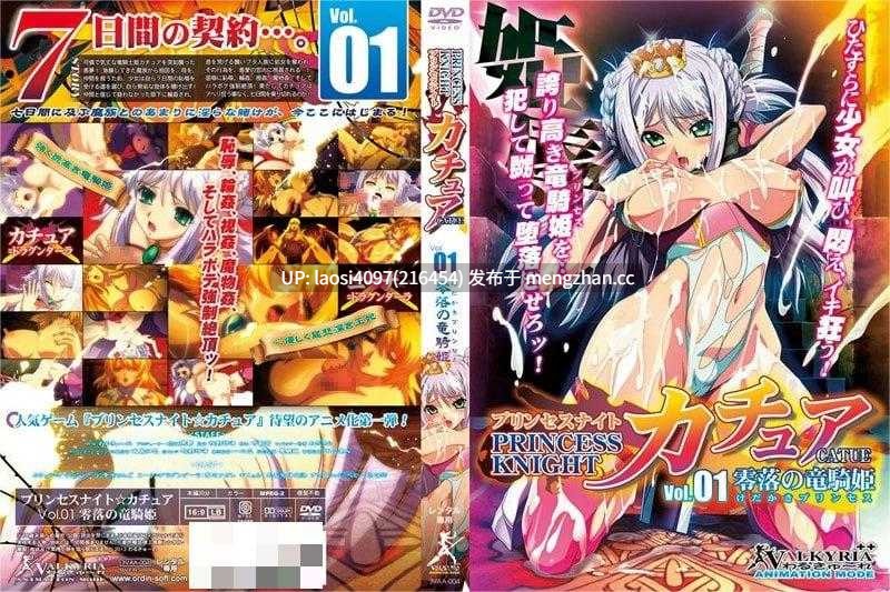 公主之夜☆風影 全4集