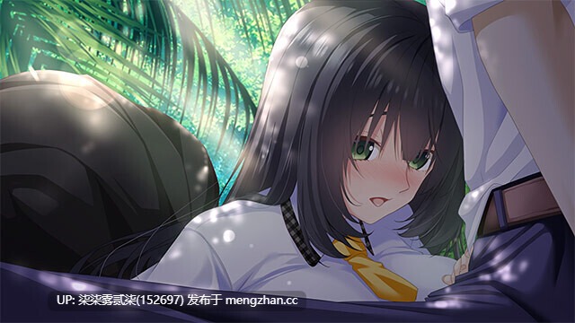 南国プリズン 漂流した無人島が子作りしないと出られない島だった件【PC/ADV/后宫/AI汉化/1.25G】