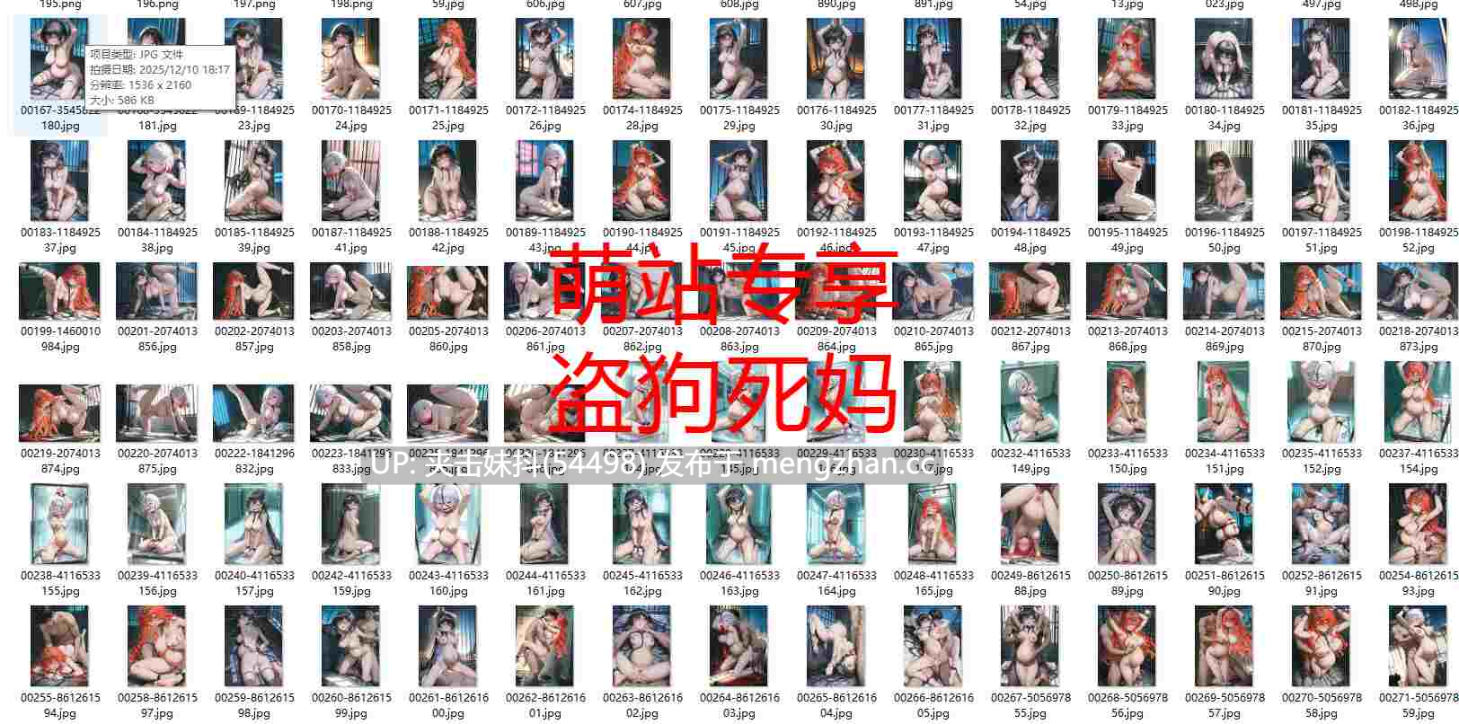 CheerOtter-25年12月图集-第48张图片-萌站