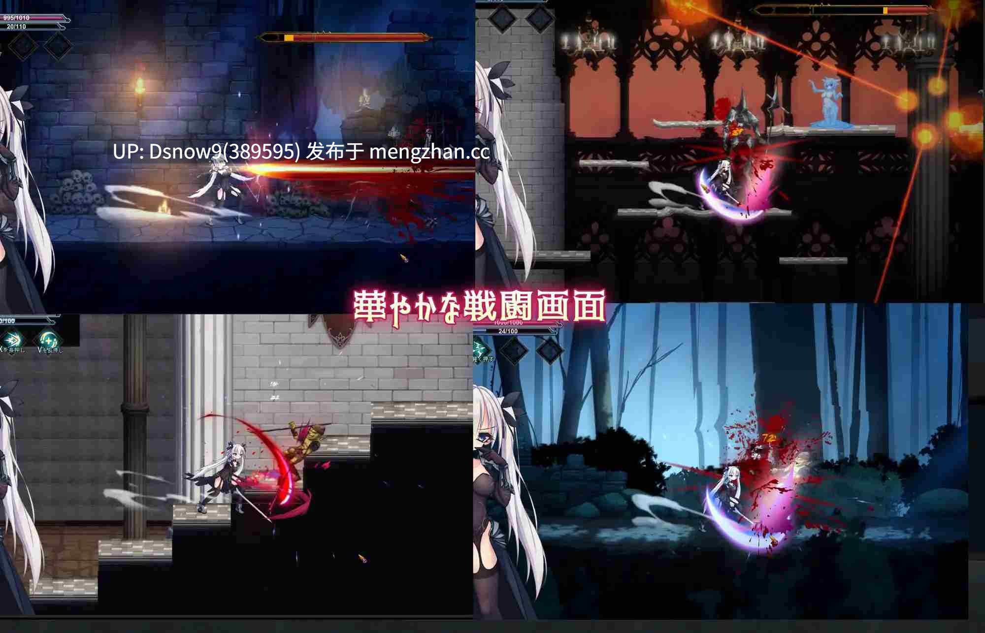 [ACT/动态/生肉] 銀剣の戦姫 [PC/1.3G]
