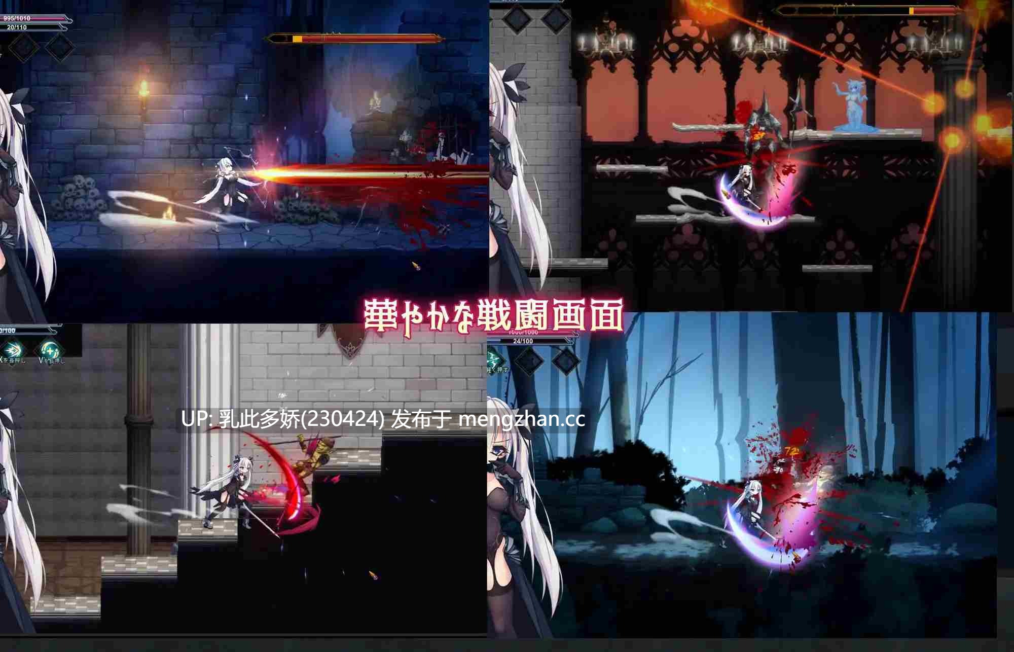 14[ACT动态生肉] 銀剣の戦姫 动态生肉版 [1.31G]-第2张图片-萌站