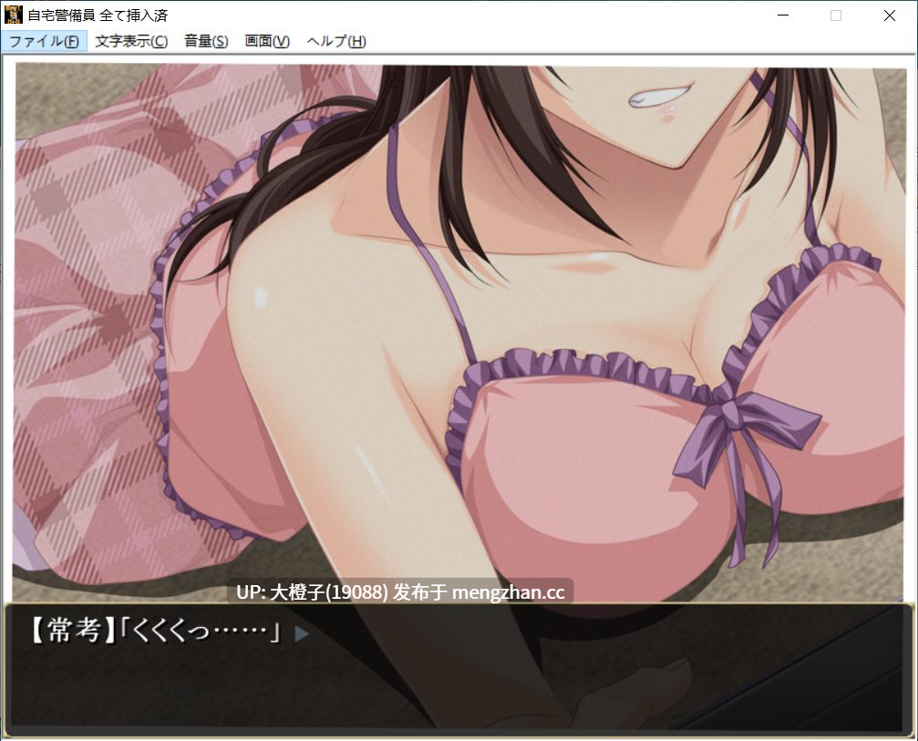 [ADV汉化PC胁迫强奸]自宅警備員 全て挿入済みVer1.14.9.23[2.31G][需要拿TOO打开游戏 生肉得转区]-第5张图片-萌站