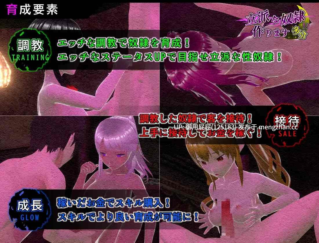 [3DSLG/动态/原版生肉] 培养优秀的奴隶 大概 立派な奴○作ります 多分 原版生肉 [360M]-第2张图片-萌站