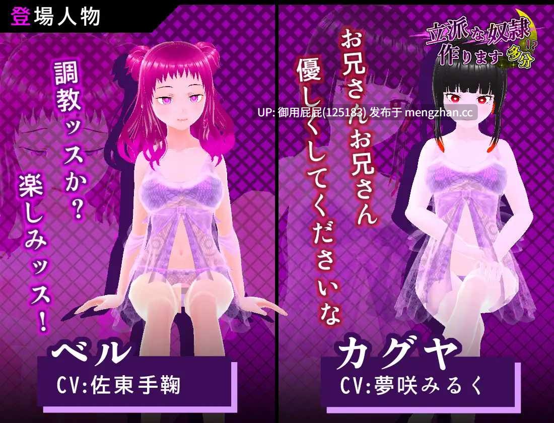 [3DSLG/动态/原版生肉] 培养优秀的奴隶 大概 立派な奴○作ります 多分 原版生肉 [360M]-第5张图片-萌站