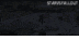 【ACT/生肉/洗脑/触手/像素/动态/异种奸/PC】帕塞克 / PASEC v2.1.9 英文生肉版 25.01.12更新【526M】-第14张图片-萌站