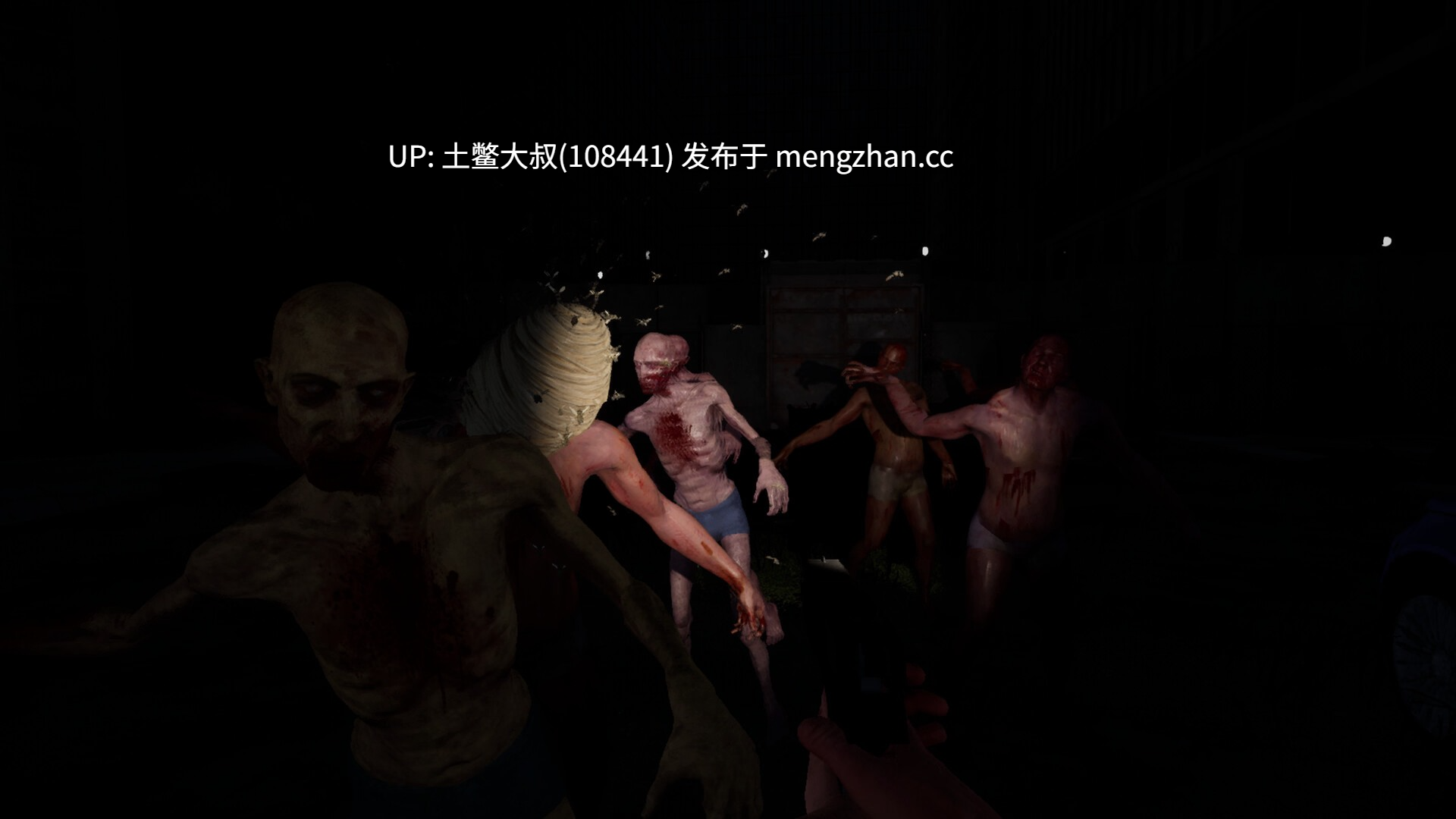 【虚幻 3D欧美RPG FPS 战斗 开放类 丧尸 生肉】28个宝贝之后 28 Babes Later [2024-06-01]-第2张图片-萌站