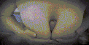 海角【姐姐的奶味】乱伦合集 巨乳老姐当我的小母狗无套内射骚逼灌满精夜 红色连体上衣势必要把我精液榨干~~-第5张图片-萌站