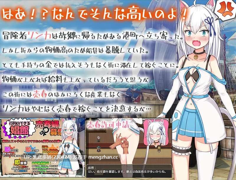 13[日式SLG汉化] 稼げ猫耳娘 ～異世界売春SLG～ AI汉化版 [2.40G]