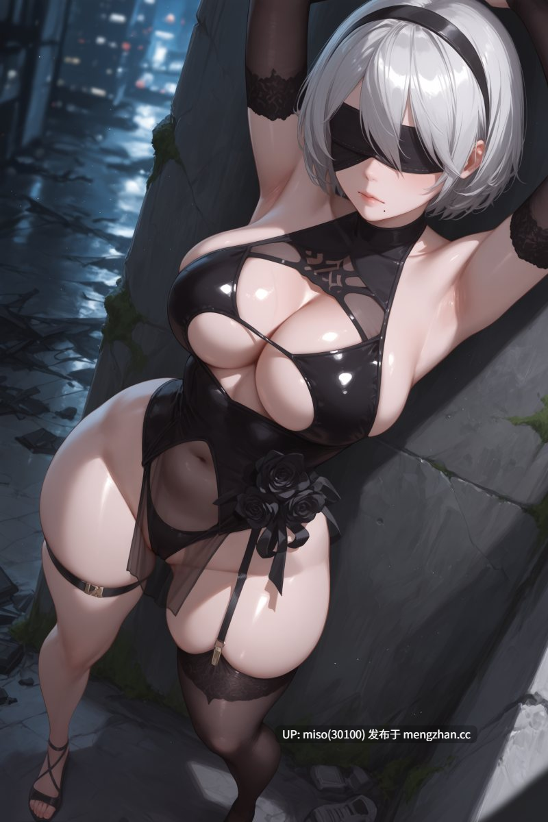[Zuki]2B-第2张图片-萌站