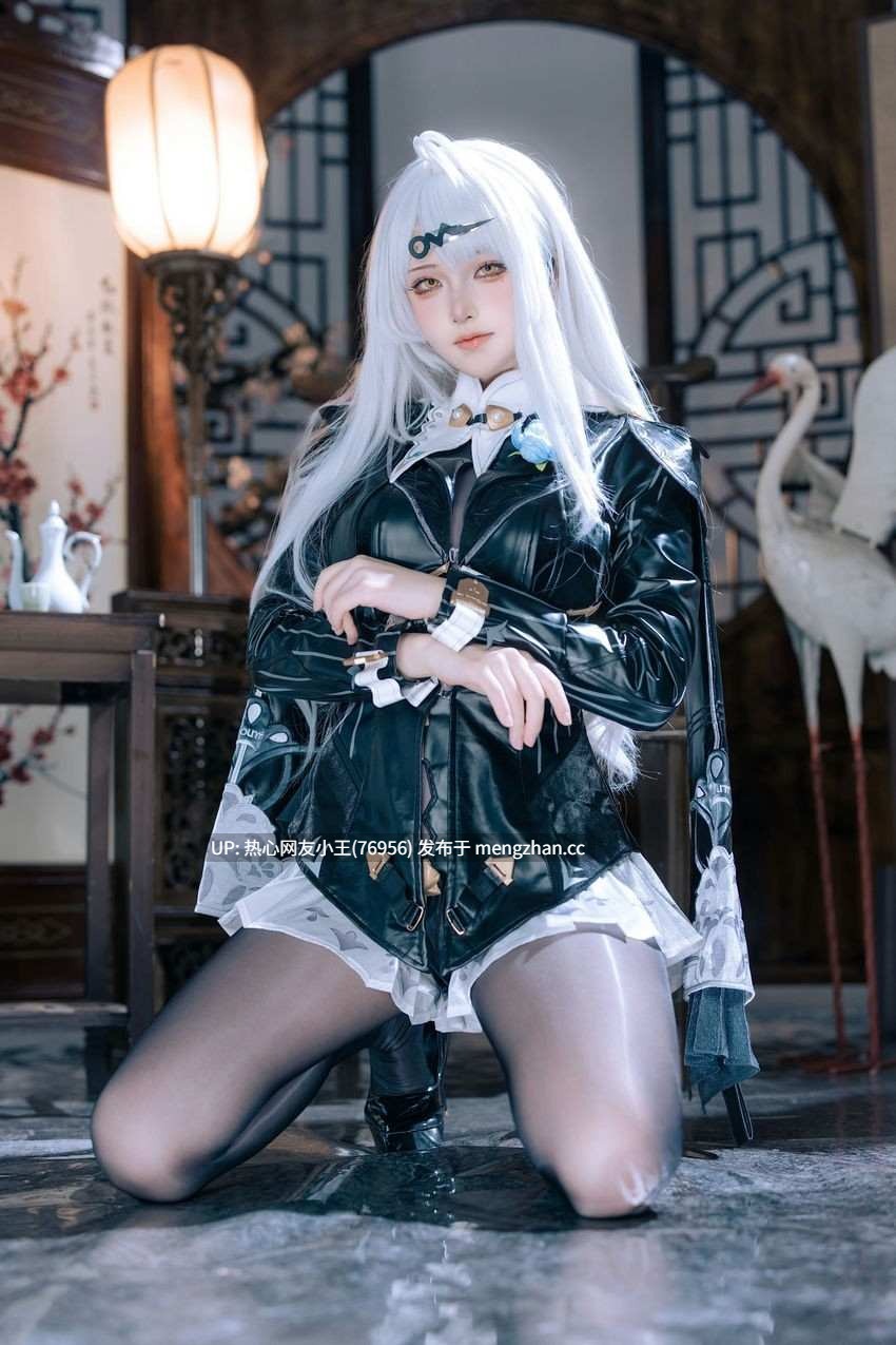 屿鱼 – NO.046 绝区零 仪玄 墨形影踪-第2张图片-萌站