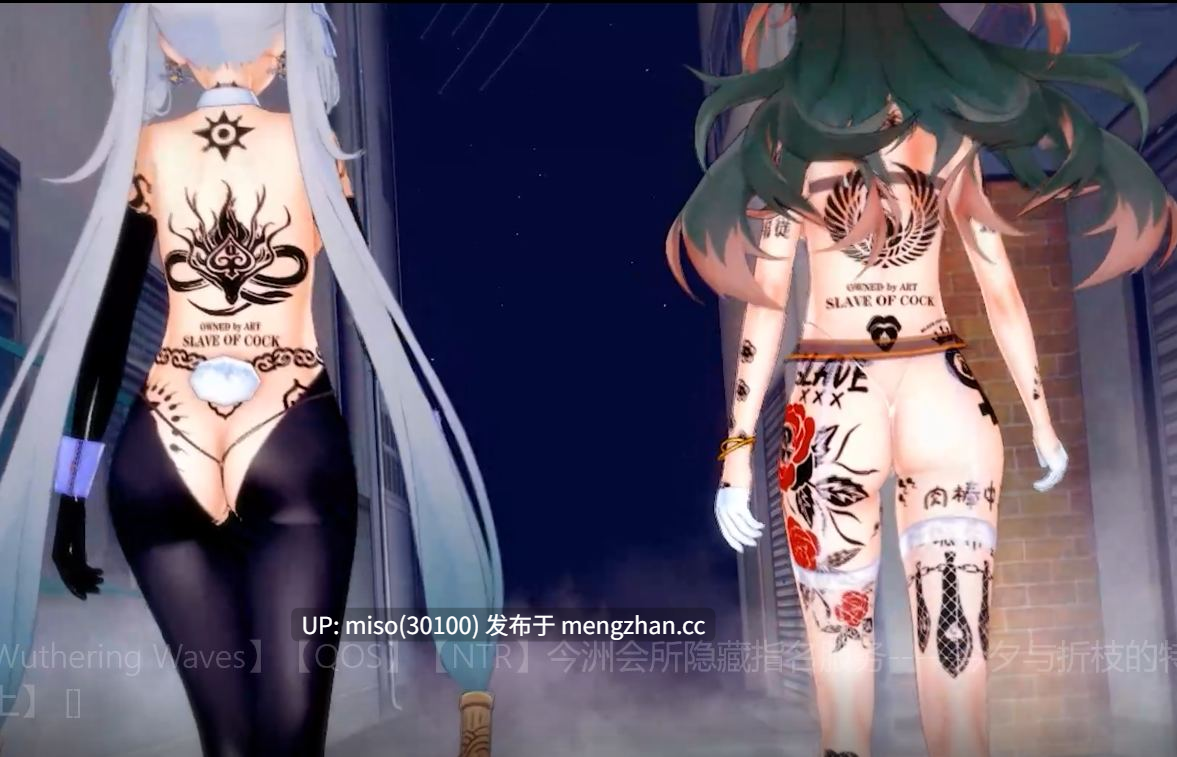 15.【Wuthering Waves】【QOS】【NTR】今洲会所隐藏指名服务-----今夕与折枝的特殊外勤【上】 []-第2张图片-萌站