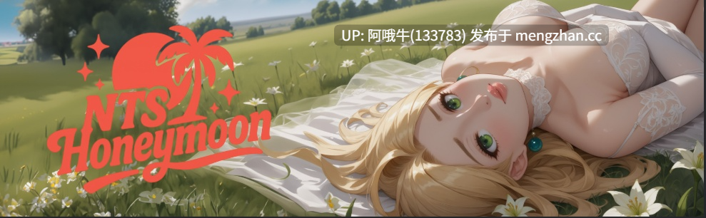 【2D/恋爱模拟/SLG/PC机翻/安卓生肉】NTS蜜月 NTS Honeymoon [v0.14] 【1.67G】【序号6640】