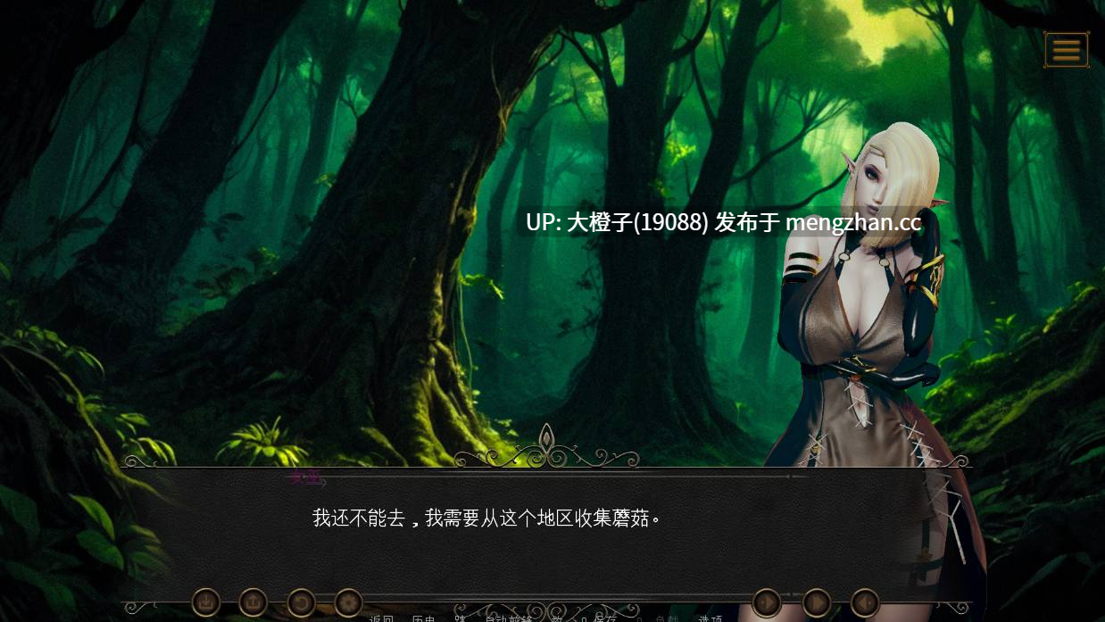 [SLG汉化PC步兵] 精灵王国 Elf Kingdom v0.4 [2.19G]-第11张图片-萌站