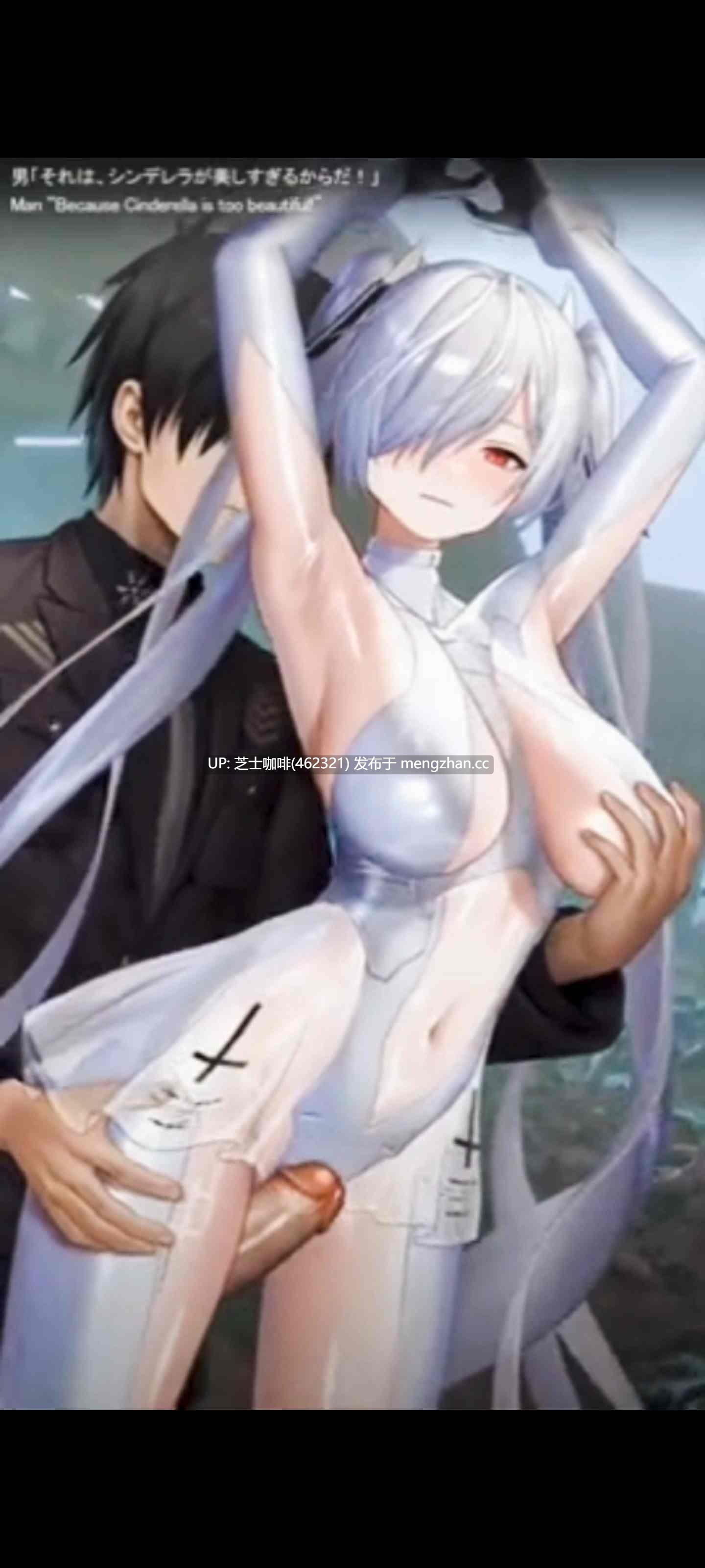 2D动画   抱插白发少女