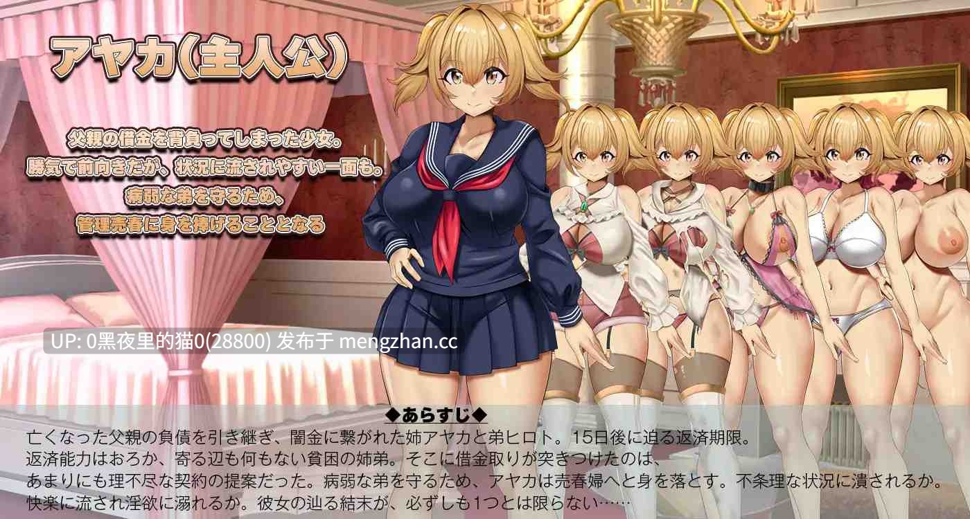 【PC/RPG/AI翻译/】3K～完全管理姦淫-第2张图片-萌站