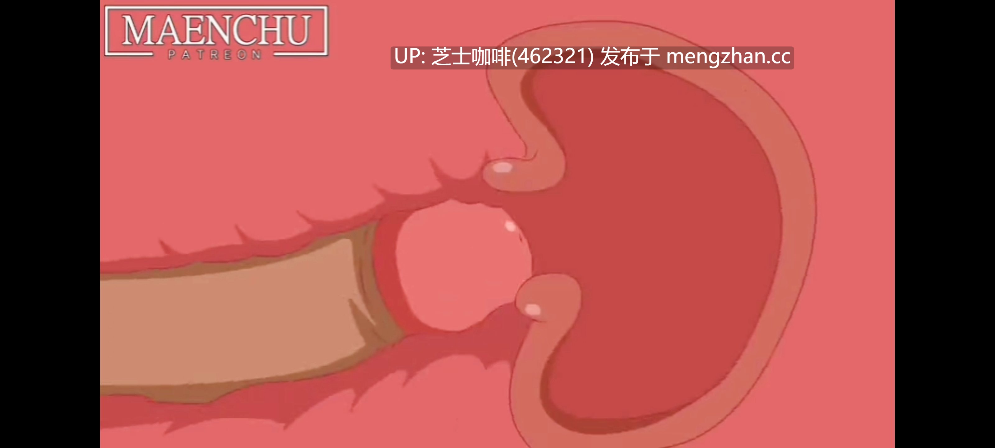 2D动画   芸芸