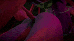 【3D 动画】4903.树人独自在树林里发现了一个精灵[舟合4903]-第2张图片-萌站