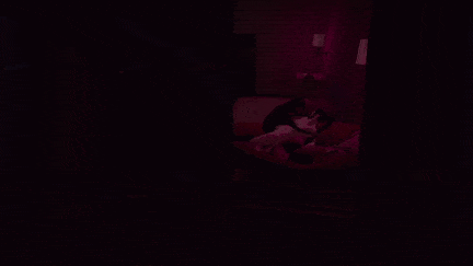 【3D 动画】4905.熟女 X 狗[舟合4905]-第3张图片-萌站