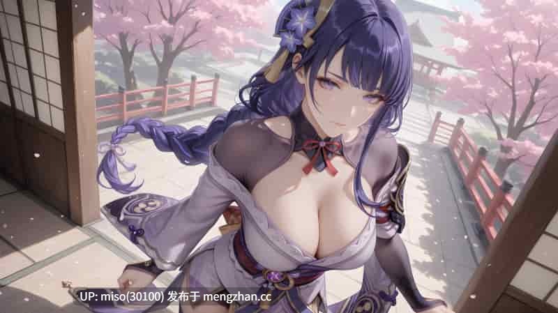 16.[Hajily]雷电将军-第2张图片-萌站
