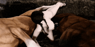 【4K/无修/无水印】新作-3DErotica-A More Equine Relationship-4K-第13张图片-萌站