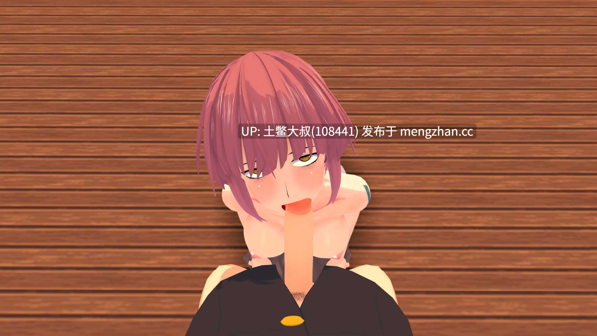 【3D日式RPG 动态冒险奇幻回合制 机翻】德萨托荒地 Dezato Wasteland [v0.1.0b] 2GB-第11张图片-萌站