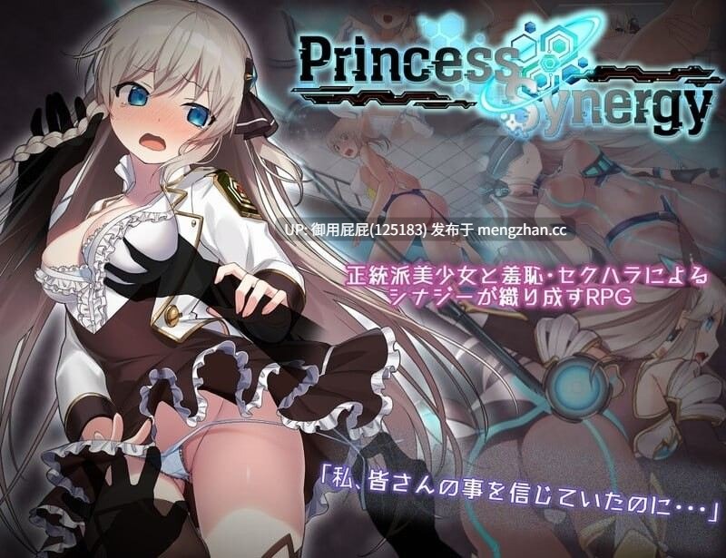 [神级RPG/NTR/全动态/存档/更新] 公主协同效应 プリンセスシナジー Princess Synergy v1.0.17 AI汉化正式版+存档 [2.7G]