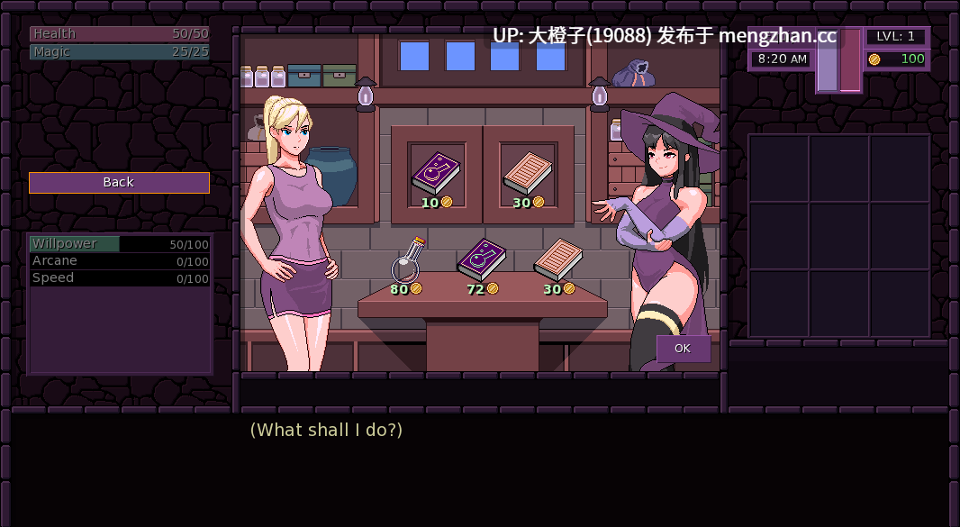 [SLG官中动态步兵PC+安卓] 魔法之镇 Town of Magic v0.75.001 SP [833M]-第5张图片-萌站