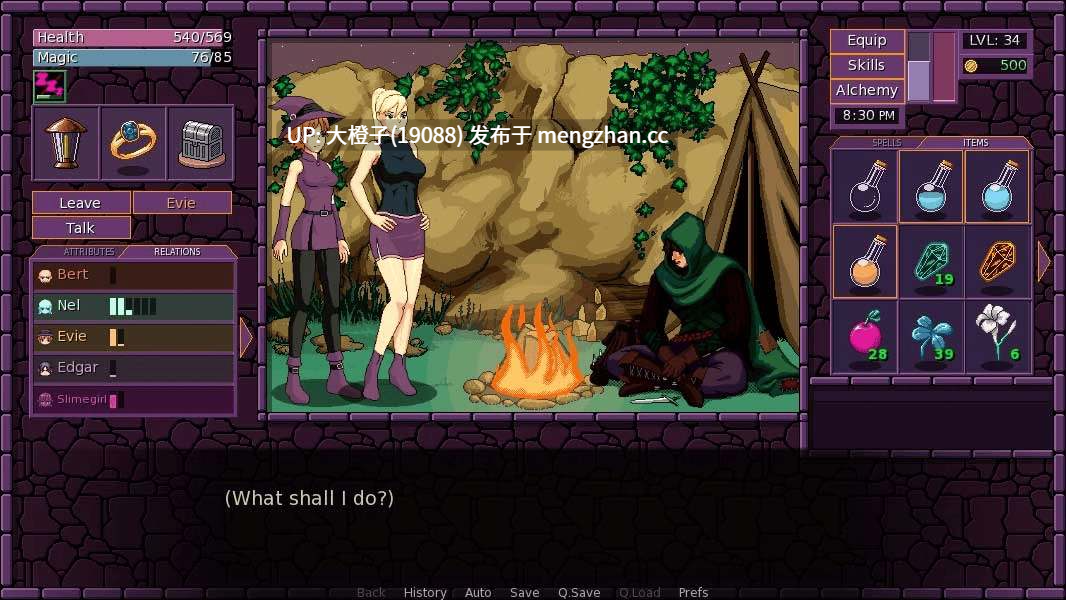 [SLG官中动态步兵PC+安卓] 魔法之镇 Town of Magic v0.75.001 SP [833M]-第19张图片-萌站