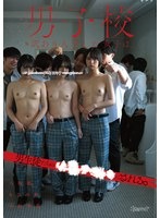 CAWD-946 男子校に訳あり入学した女子は、男生徒たちの●●●●●にされる。 八坂凪 小松本果 もなみ鈴 生写真3枚セット