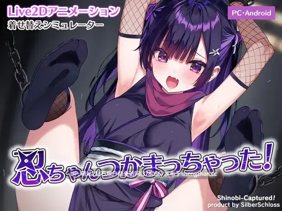 [双端PC+AZ][忍者捆绑动态互动调教] 小忍被抓住啦！忍ちゃんつかまっちゃった！  正式版 去码版+存档 [90M/bd]