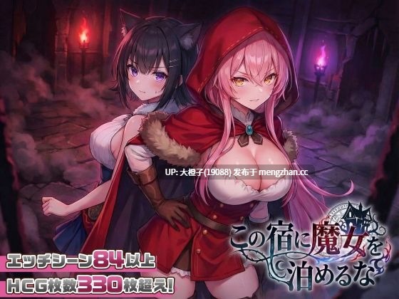 [SLG后宫PC]この宿に魔女を泊めるな[3.02G]-第2张图片-萌站