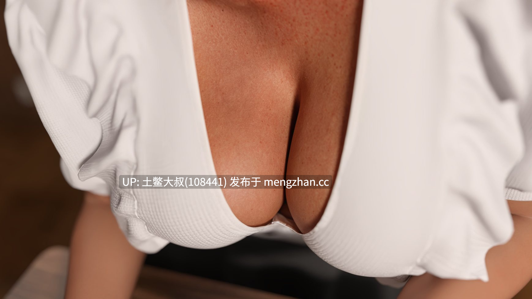 3D欧美动态熟女SLG 机翻 -- 米尔夫海姆：扭曲者 Milfheim: The twisted [v0.2.1] 1.85gb-第2张图片-萌站