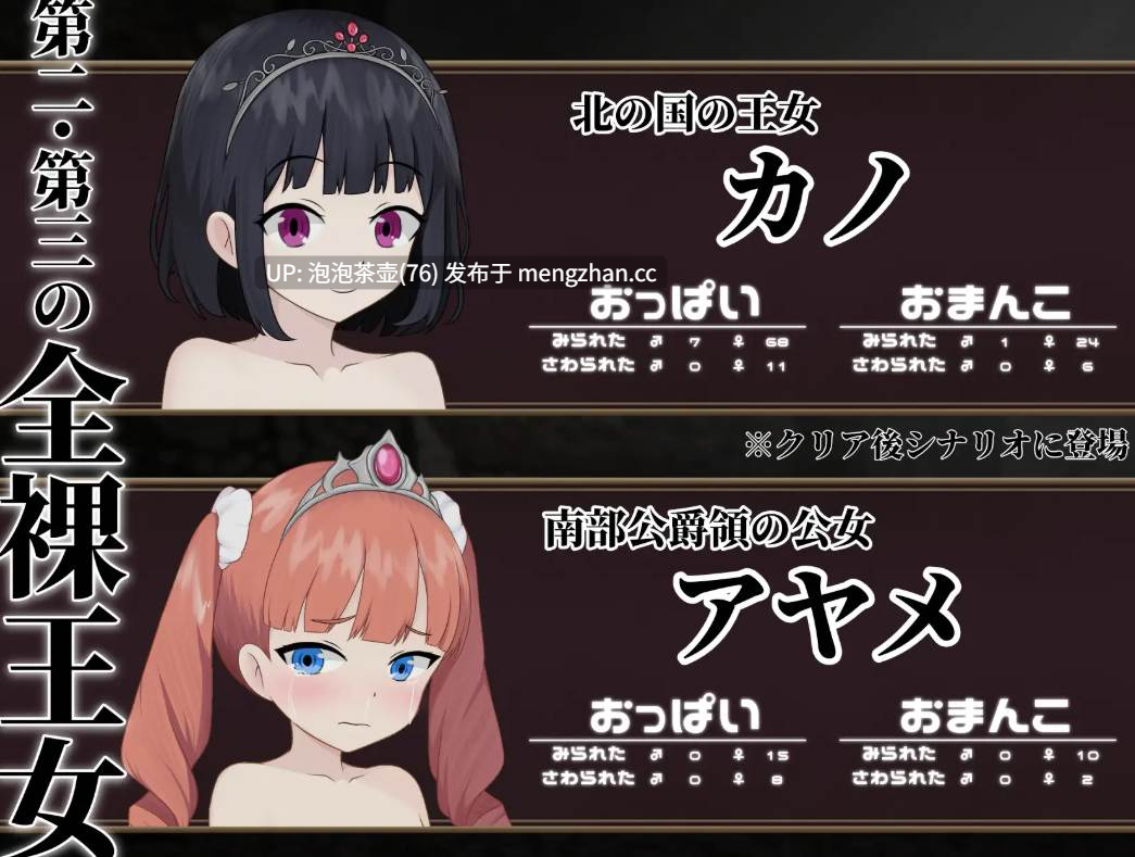  [新作RPG/汉化/处女]败姬全裸 ～战败国的公主在中央广场被全裸示众～ マケヒメゼンラ ～敗戦国の姫君は中央広場で全裸にされる～AI汉化版-第3张图片-萌站