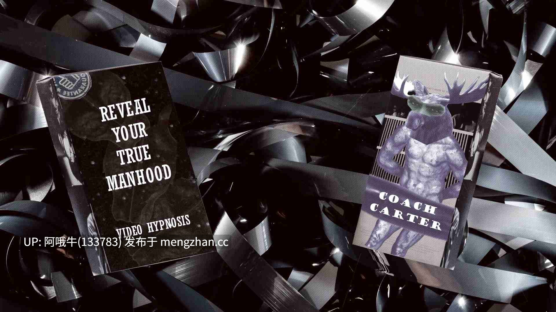 【SLG/毛茸茸/恐怖/PC/机翻】大佬先生 Mr Big [v0.1] 【337M】【序号7179】-第5张图片-萌站