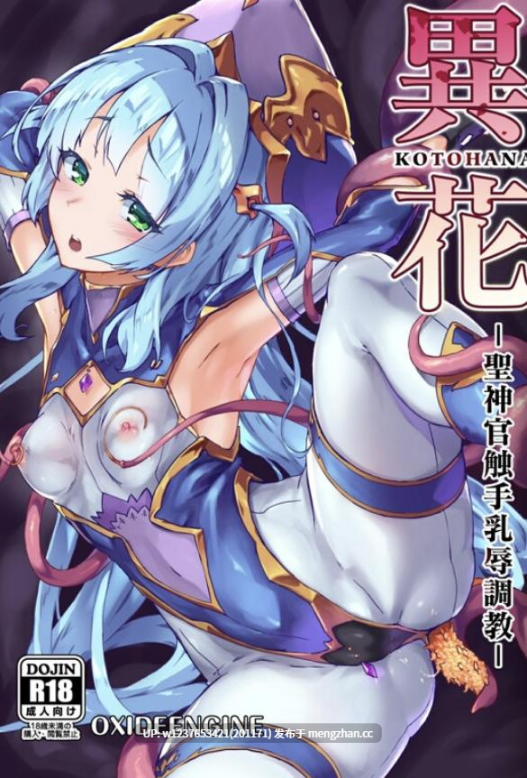 本子画师合集系列：OXIDE_Lab (おきえん)~触手调教魔法少女【同人志X27/商业志X2/同人CGX1/画集X3 共33本合集（可拆分下载）-2.58G】-第6张图片-萌站