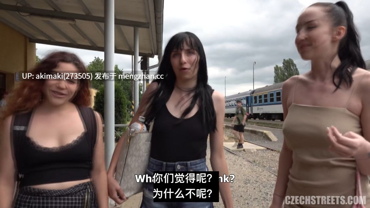 【捷克街头快餐 E146】捷克街头搭讪146 和乘务员在厕所里做爱 CzechStreetsE146SexWithAConductorInTheToilet #欧美 #4p #三飞 #真实 #制服 #中文字幕 #户外-第5张图片-萌站