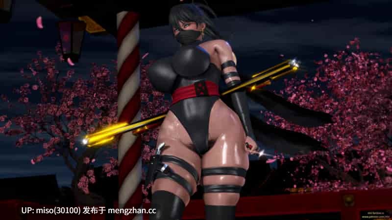 [点点滴滴]完全凌辱 女忍者 咲夜-第13张图片-萌站