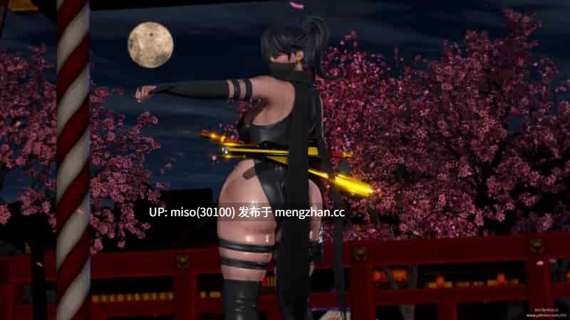 [点点滴滴]完全凌辱 女忍者 咲夜-第14张图片-萌站