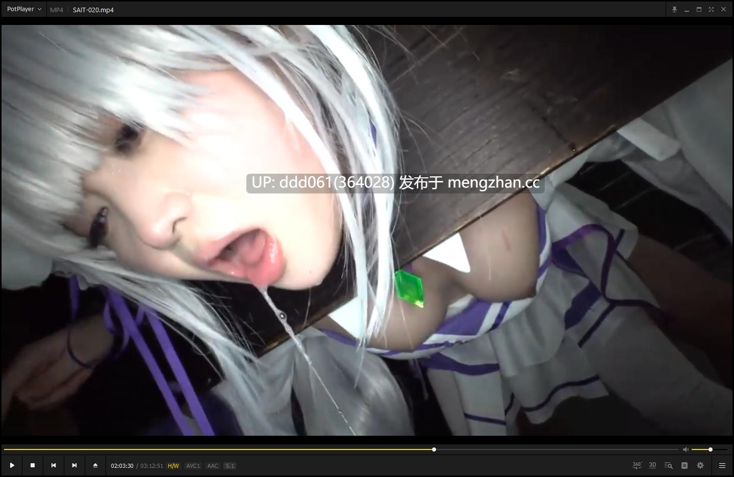 [SAIT-020]   銀髪美少女ハーフエルフエ●リア×アナル＆マ●コ2穴中出しファック×10連続大量ザーメンぶっかけ [3.1G]-第2张图片-萌站