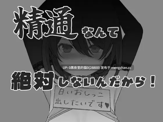 【PC/SLG//】精通なんて絶対しないんだから