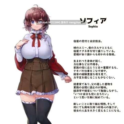[PC][经营SLG/官中/更新/2D]旅馆想要钱 宿かせぎ V0.85 官方中文版 [164MB]-第3张图片-萌站