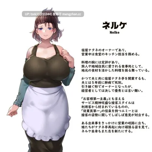 [PC][经营SLG/官中/更新/2D]旅馆想要钱 宿かせぎ V0.85 官方中文版 [164MB]-第5张图片-萌站