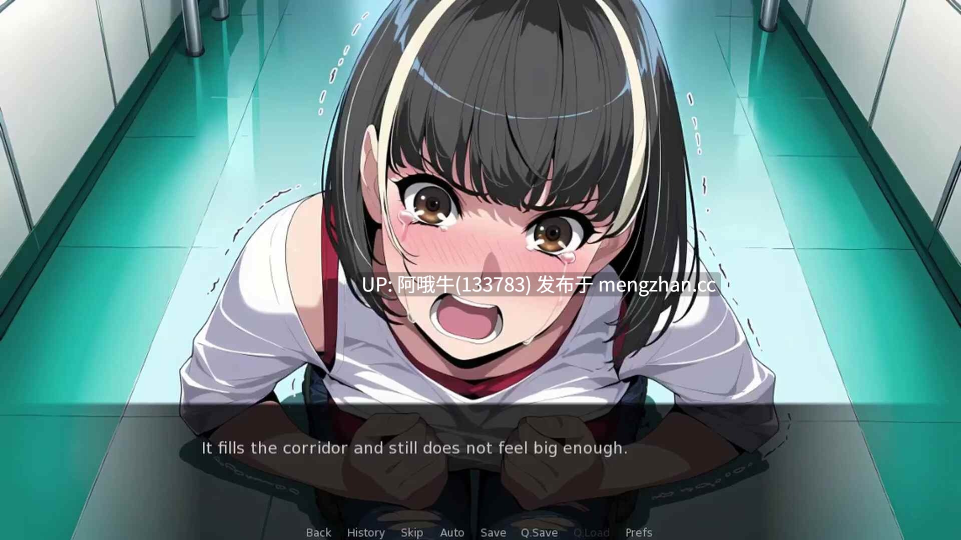 【2D/SLG/AICG/配音/PC/官中/萌站内植】发条之心 Clockwork Hearts [v7.0] 【1.14G】【序号7608】-第4张图片-萌站