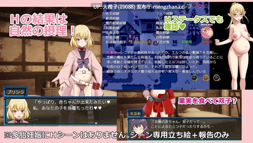 [RPG汉化PC后宫怀孕][ビタミンごはん]ラスティーダンジョン2 Ver1.0a+存档[1.4G][萌站植入]-第3张图片-萌站