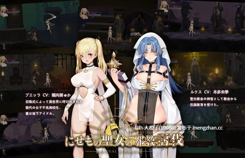 [ACT官中PC动态步兵强X调教]二七モノ聖女の邪教討伐 Ritual Summon B.8769883 STEAM官中步兵版+DLC+存档[845M]-第2张图片-萌站
