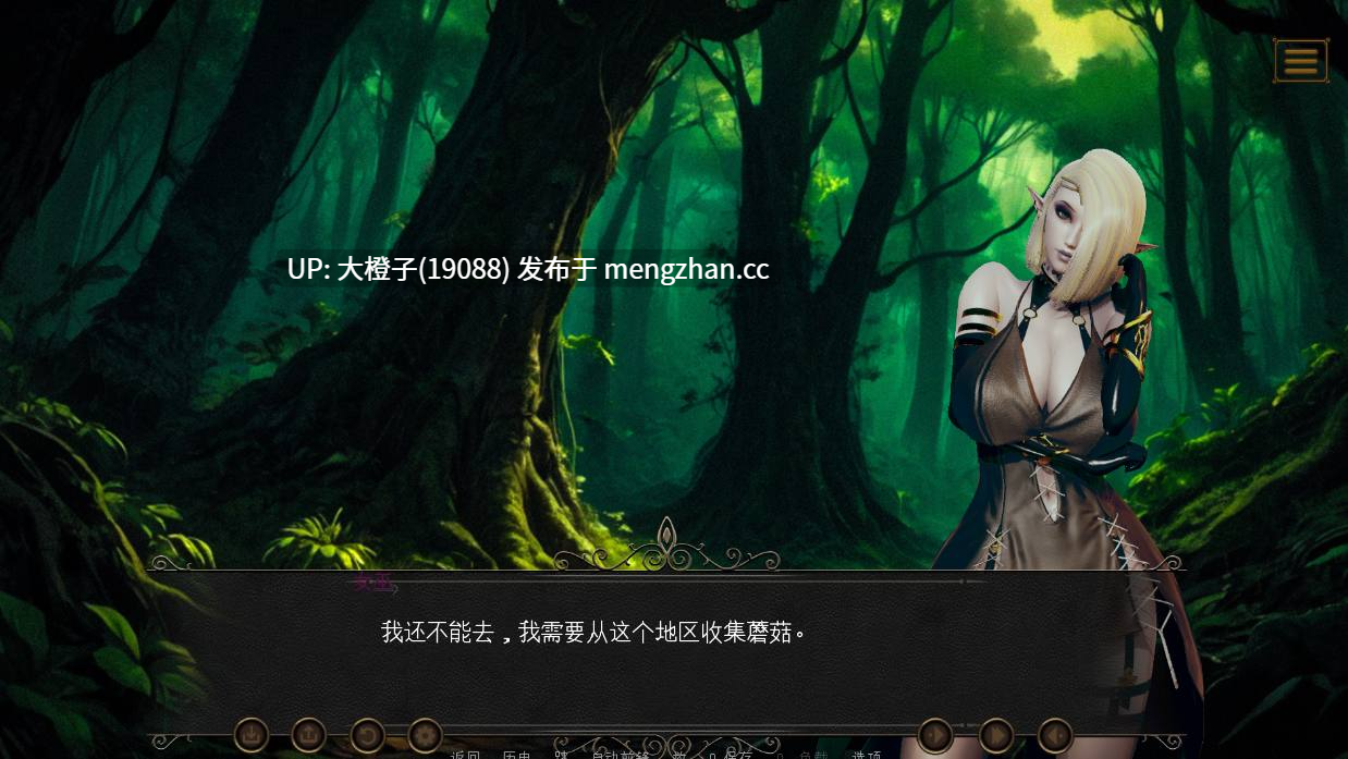 [SLG汉化PC动态步兵] 精灵王国 Elf Kingdom v0.5 [2.62G]-第14张图片-萌站