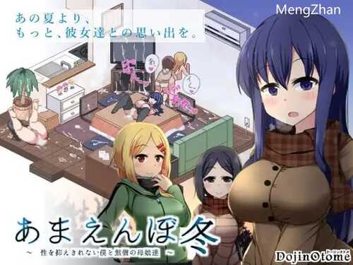 PC/终极汉化V2.0冬日狂想曲Ver1.04整合 /民间汉化100%+通关全CG存档
