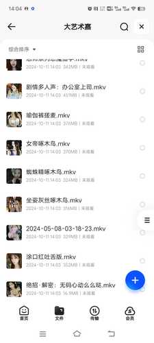 自购2024年大艺术嘉抖音音频